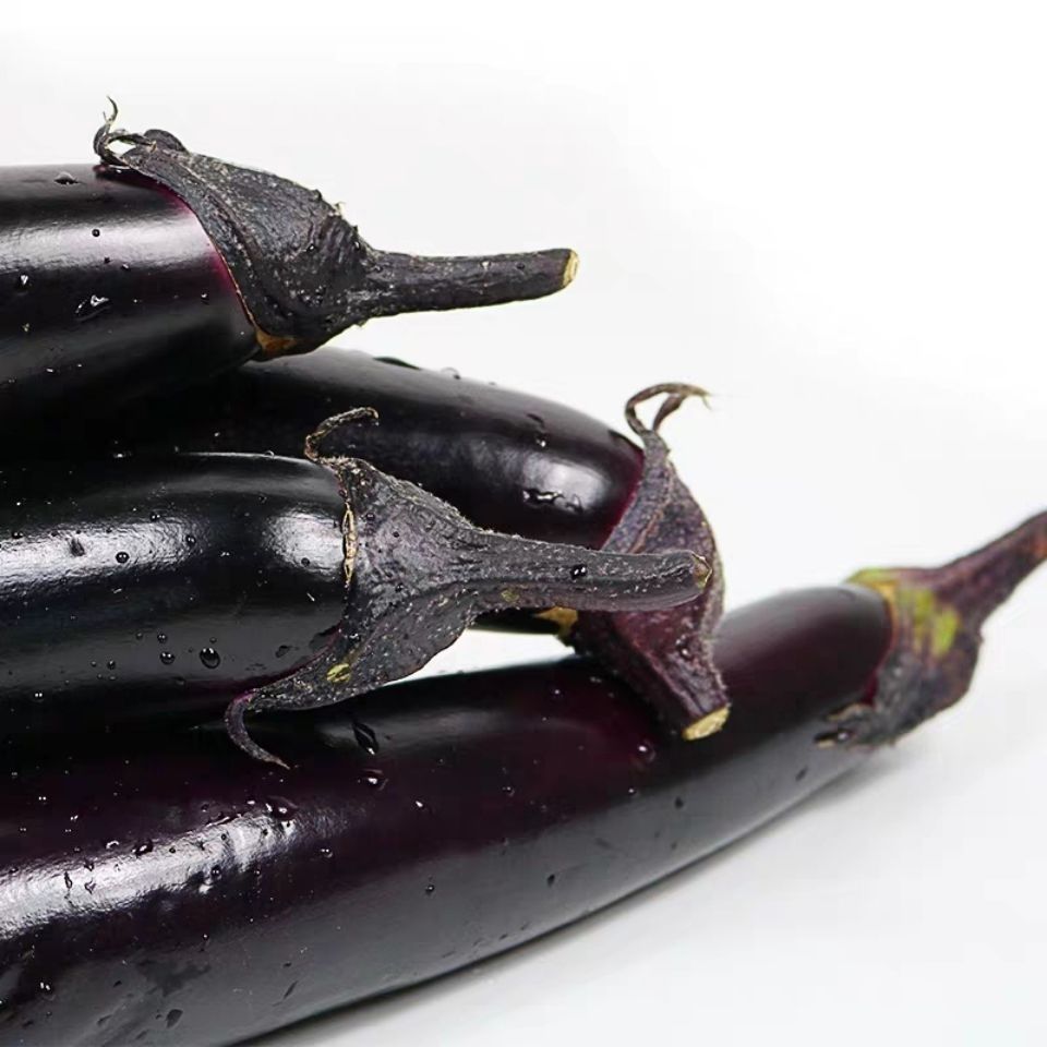 东北原产地新鲜蔬菜长茄紫把新鲜长茄现摘现发东北紫把茄子5斤装