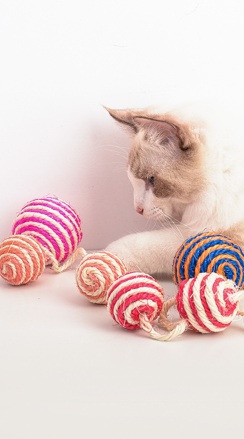 猫玩具毛线球猫玩具猫咪自嗨解闷神器剑麻球用品毛线逗猫棒耐咬磨牙抓