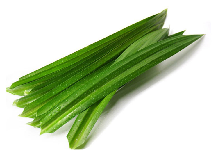 顺丰斑斓叶新鲜香兰叶班兰叶斑斓蛋糕千层糕芒果糯米饭250g