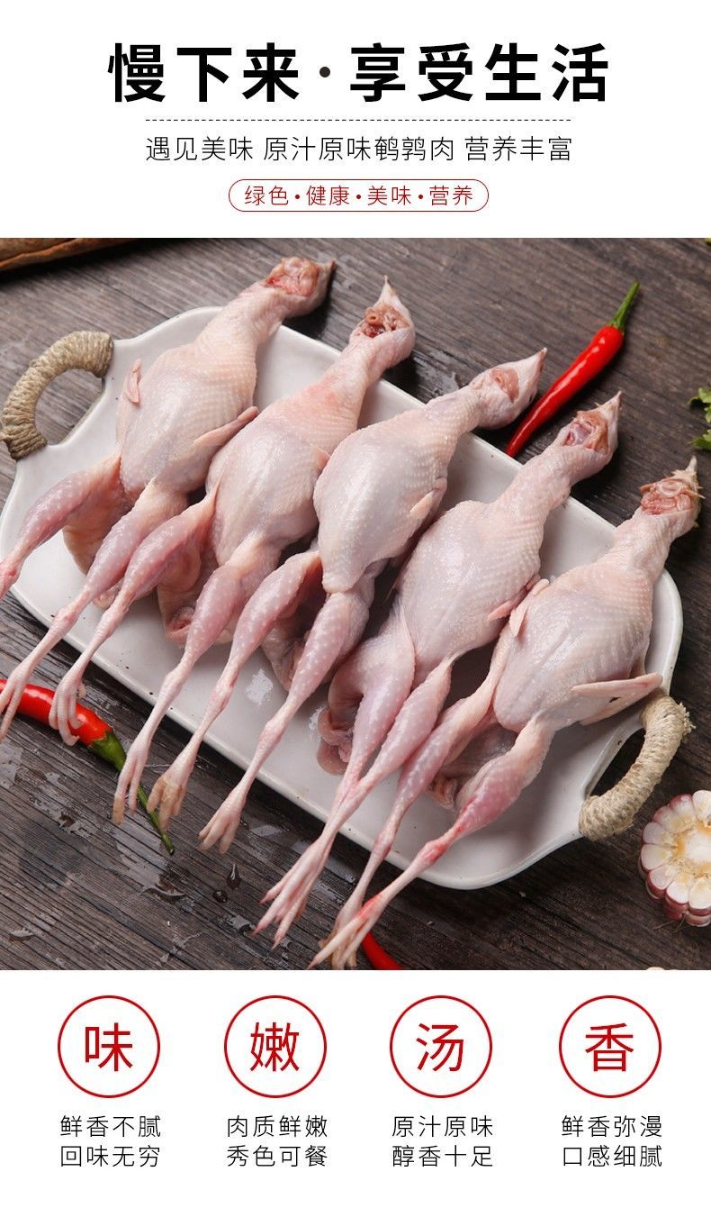 鲜活放血去内脏新鲜挑体鹌鹑鲜活速冻鹌鹑肉红烧鱼炸炖汤30只装3两