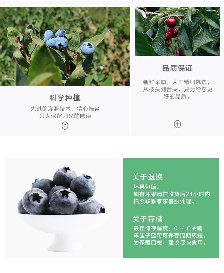 京觅 智利进口车厘子 2.5kg JJ级大果 + 蓝莓 125g*6盒装 图6