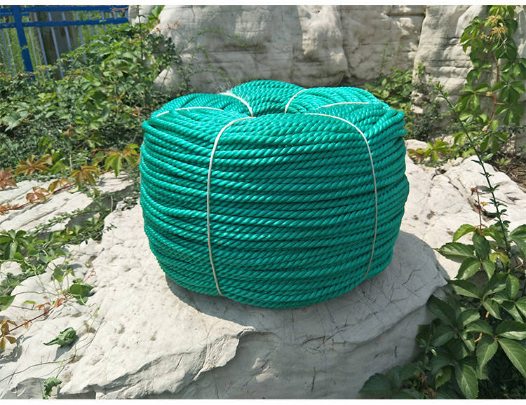 大棚黄瓜西红柿吊秧绳辣椒蔬菜番茄吊蔓绳植物爬藤网拉绳塑料 36股