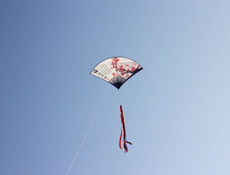 602019梅花扇子风筝儿童卡通中小型风筝线轮套餐520礼物29米格子布