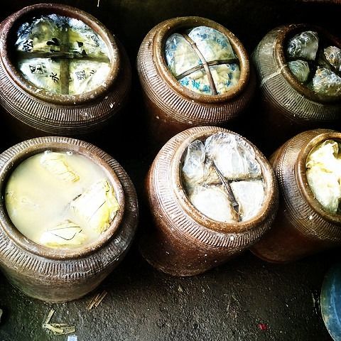 宁波绍兴三臭之霉苋菜梗臭苋菜臭豆腐汗菜梗下饭菜暗黑料理蒸双臭