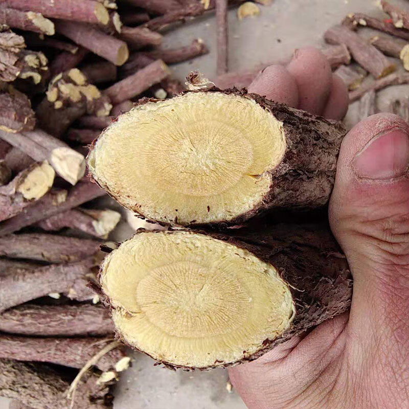 甘肃野生中药材甘草粗根大甘草片茶甜甘草根深山甘草条棒 半斤30年野