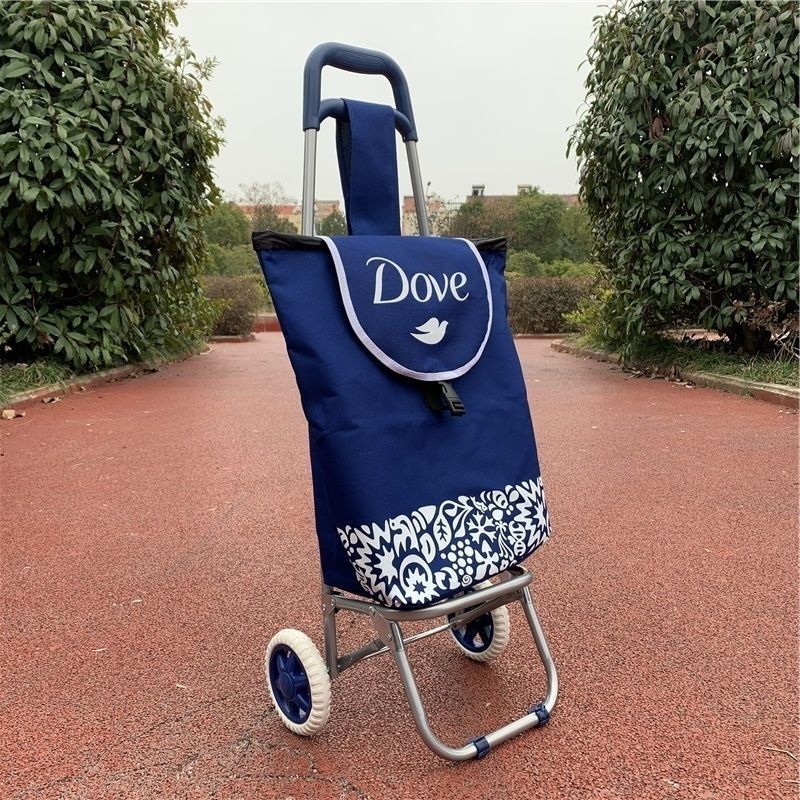 老人便携可折叠超市买菜车轻便小拉车手推车神器行李车老年人两轮拖车