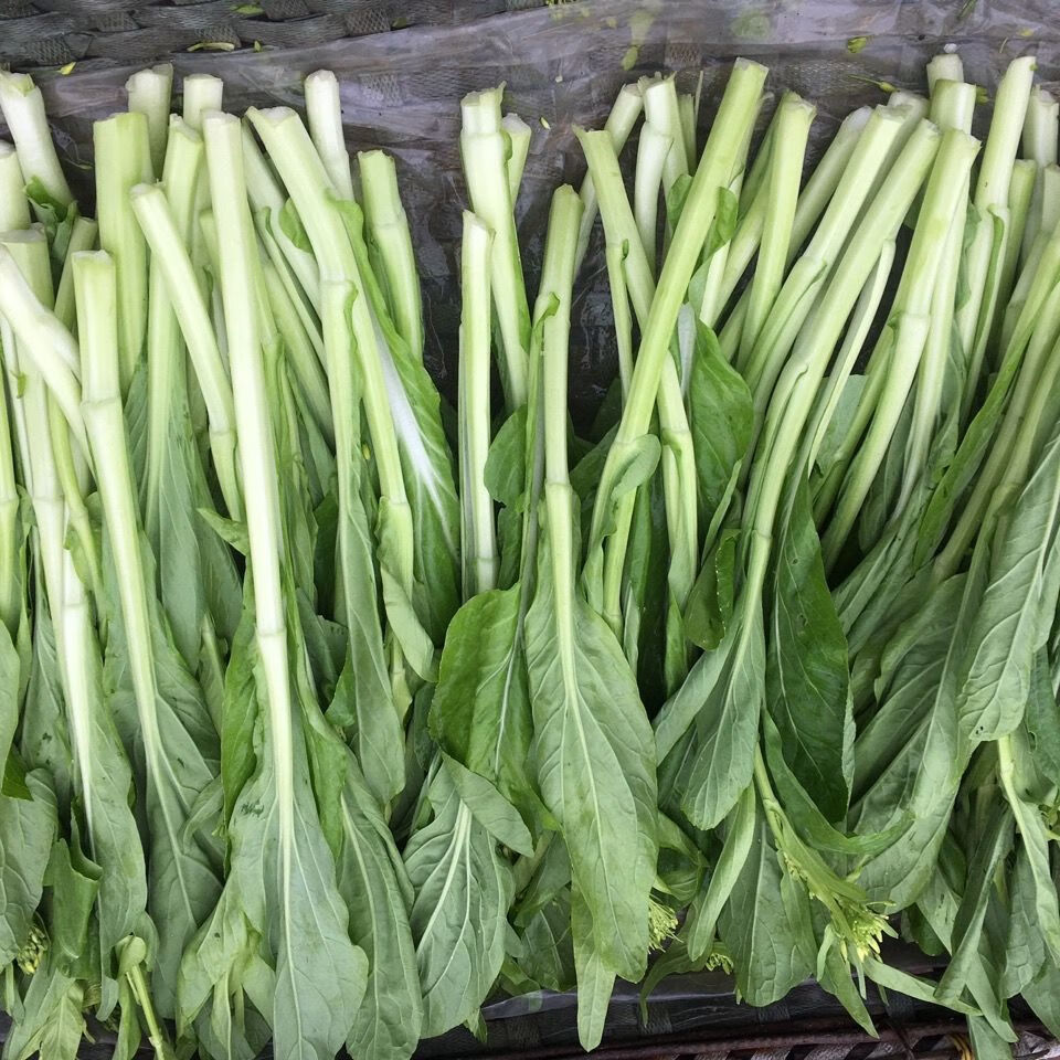 【现货直发】【现摘现发】白菜苔新鲜蔬菜时令爽口脆甜青菜叶类菜小
