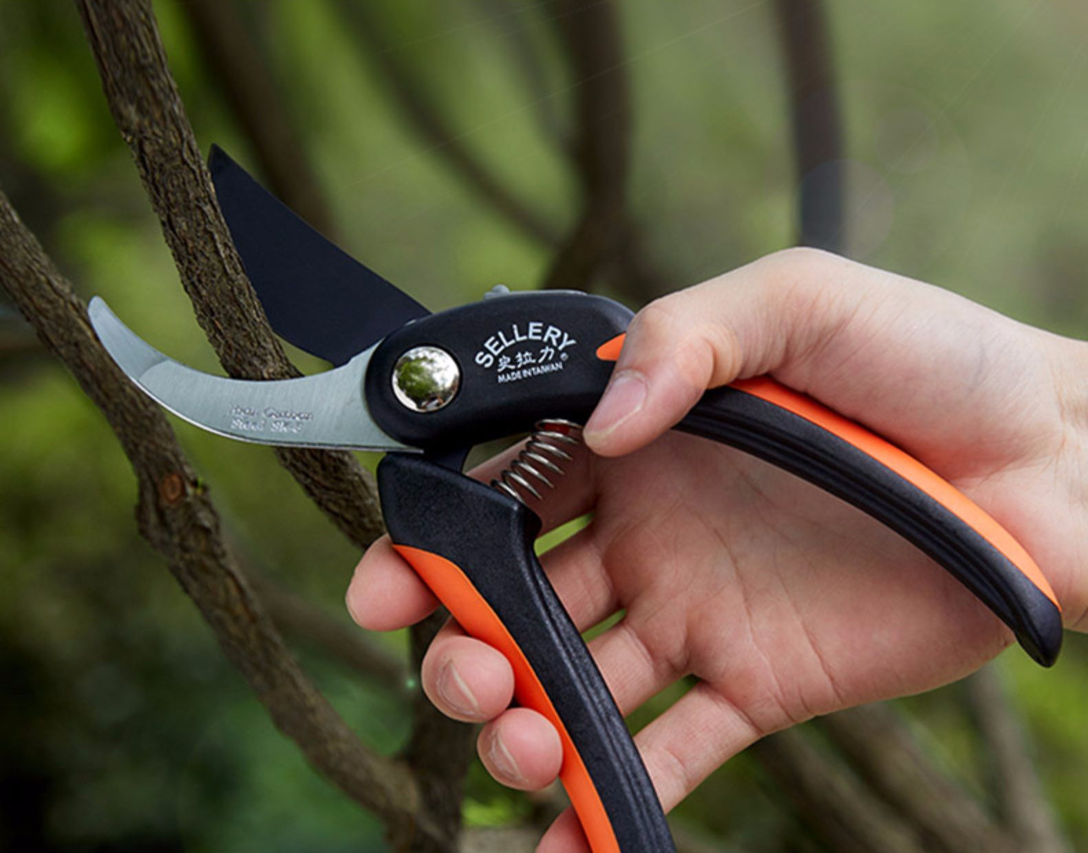 园艺修枝剪花艺采果剪原产园林绿化剪刀66282日式芽剪