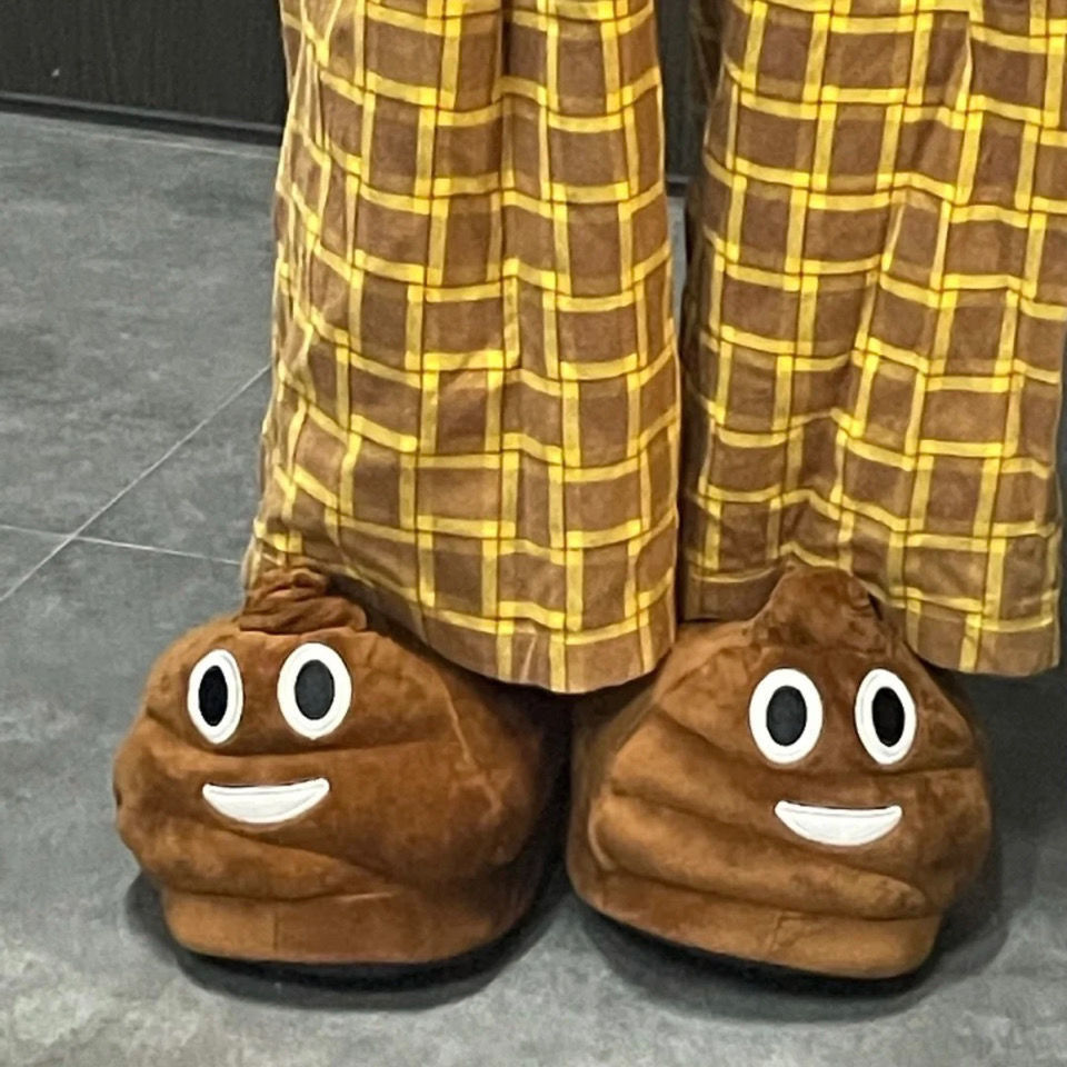 拖鞋居家屎粑粑棉拖男女冬季创意保暖鞋情侣恶搞卡通 便便拖鞋(棉) 34