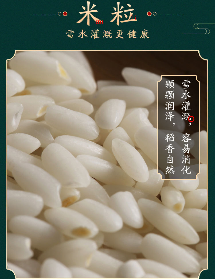 新疆羊脂籽米 胚芽米富硒沙漠大米5kg高端雪米10斤礼盒装【图片 价格