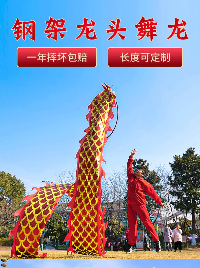 健身龙龙头彩带 广场舞龙健身龙带甩彩带钢架龙头初学成人中老年中国