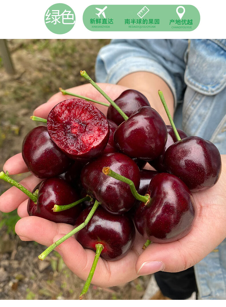 大连美早大樱桃国产车厘子4j新鲜水果5斤当季整箱山东3特大时令水果