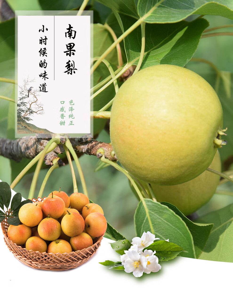 >>原产地:东北国产/进口:国产包装形式:简装特产品类:鞍山南果梨品种