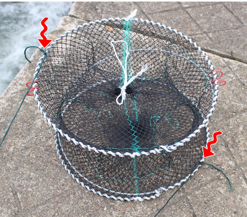 【施菲格】甲鱼笼子花篮专捕鳖龟笼乌龟海用螃蟹加粗折叠捕蟹龙虾网