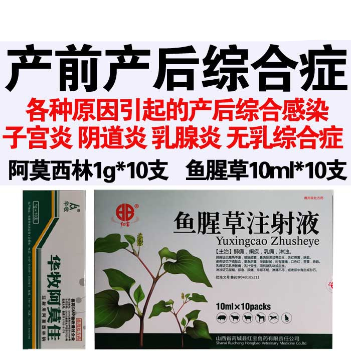 兽药兽用猪产前产后康感染发烧不食乳房炎鱼腥草注射液母猪药