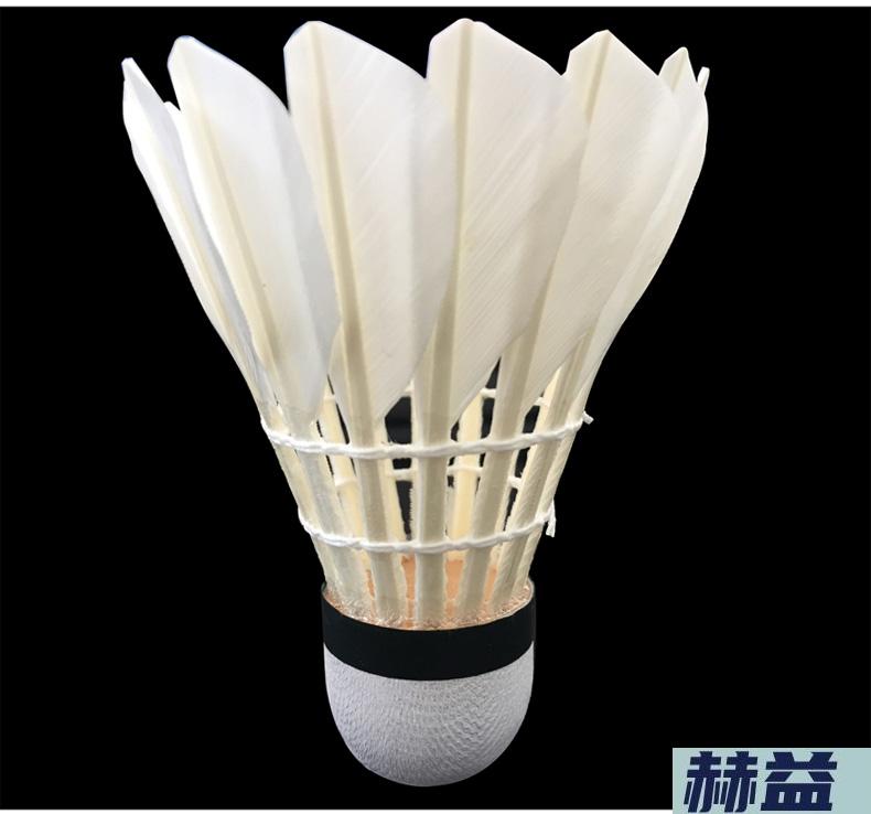 普纳羽毛球2022新款打不烂一号水晶4号普纳无标耐打羽毛球训练初级用