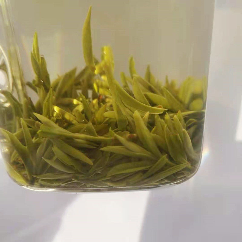 绿杨春2022明前茶新茶仪征捺山绿阳春茶叶扬州特产绿扬春茶叶100g500