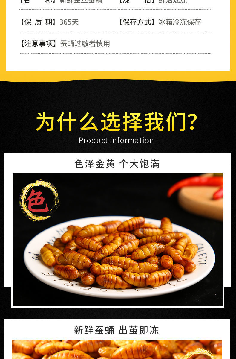山东蚕蛹鲜活冷冻新鲜金丝蛹高蛋白茧蛹山东土特产桑蚕蛹蝉蛹蝉蛹半熟
