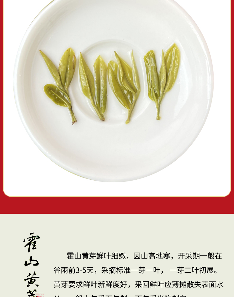 茶叶新茶安徽黄大茶500g袋装黄芽霍山黄茶黄牙