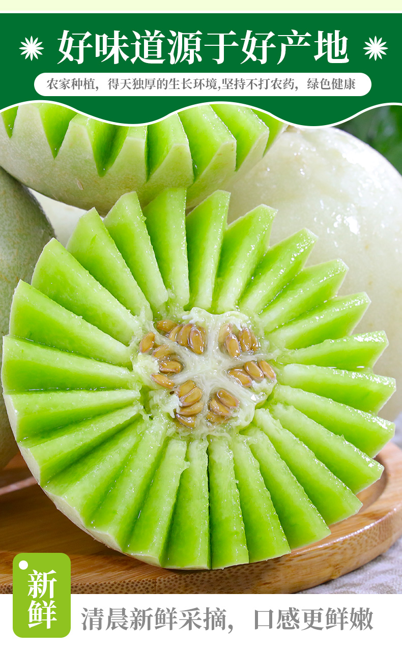 山东玉菇甜瓜 新鲜蜜瓜 应季当时令水果冰淇淋哈蜜瓜香瓜奶香蜜瓜玉茹
