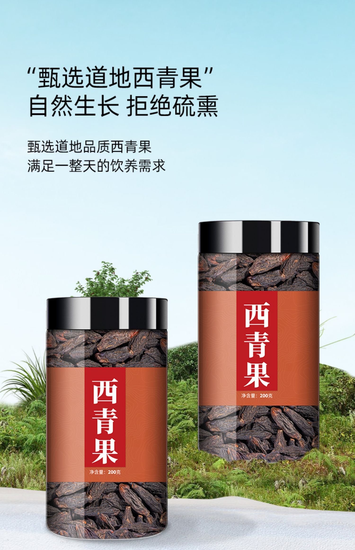 同仁堂同仁堂青果中药干青果西青果藏青果中药材店铺药材中草药非特级