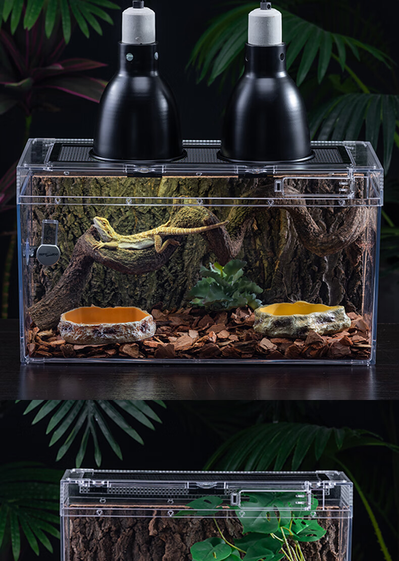 爬宠生态造景雨淋缸爬虫饲养箱角蛙蜘蛛守宫蜥蜴宠物饲养盒养蟹缸蒂