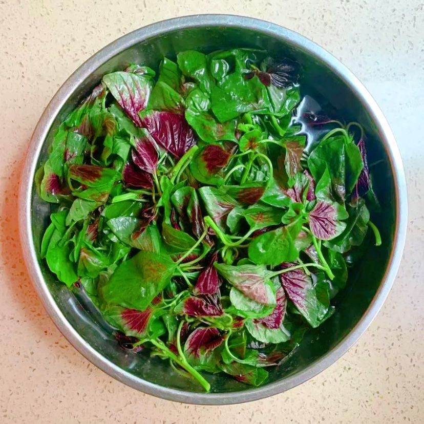 红苋菜 新鲜蔬菜苏北农家自种 红旱菜露天蔬菜现摘带根汉菜红米苋 1斤