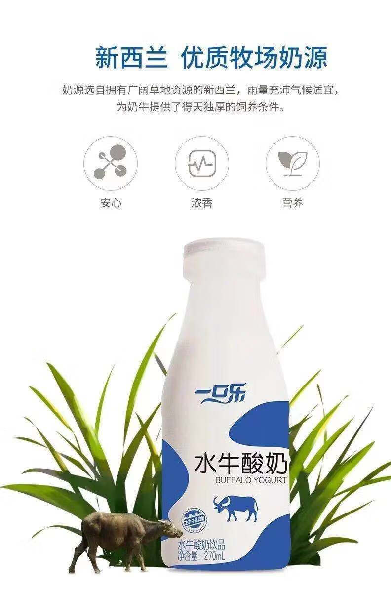 一口乐水牛纯酸奶发酵菌饮品儿童学生草莓原味早餐奶批发整箱 12瓶整