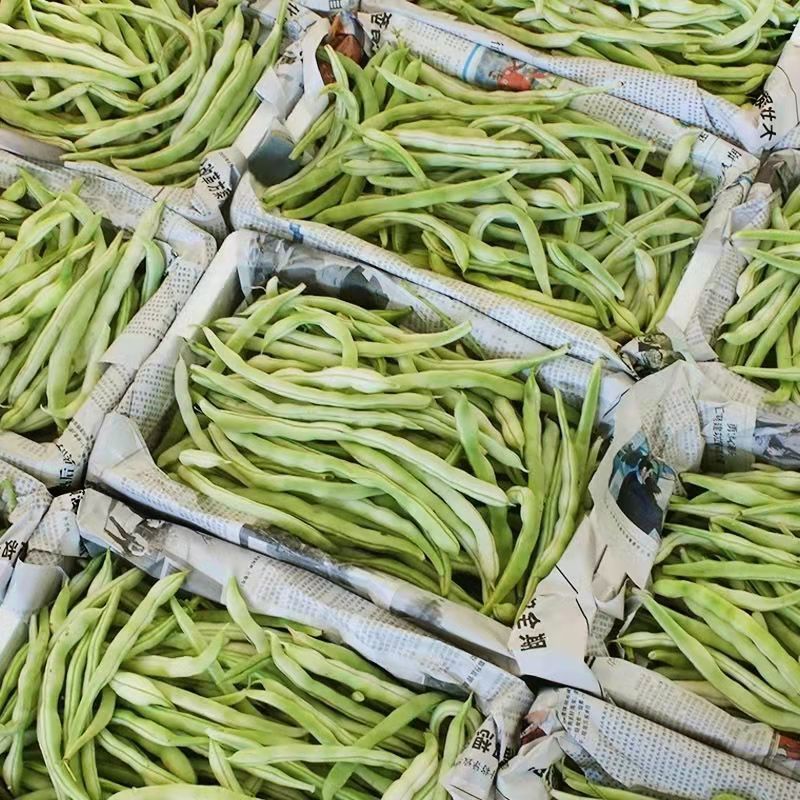 5斤东北白豆角新鲜白色四季豆现摘芸豆云南白不老架豆整箱批发1斤 5斤