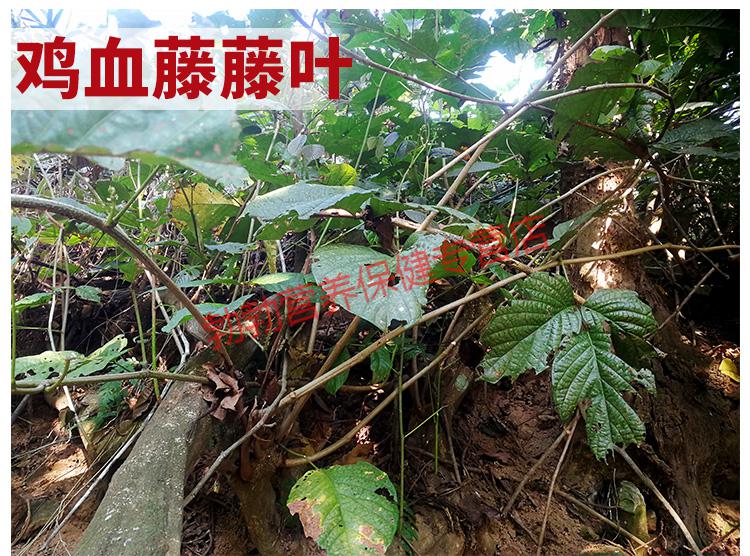 广西正宗原生鸡血藤草药鸡血藤无添加新鲜自然晒干老藤切片500g