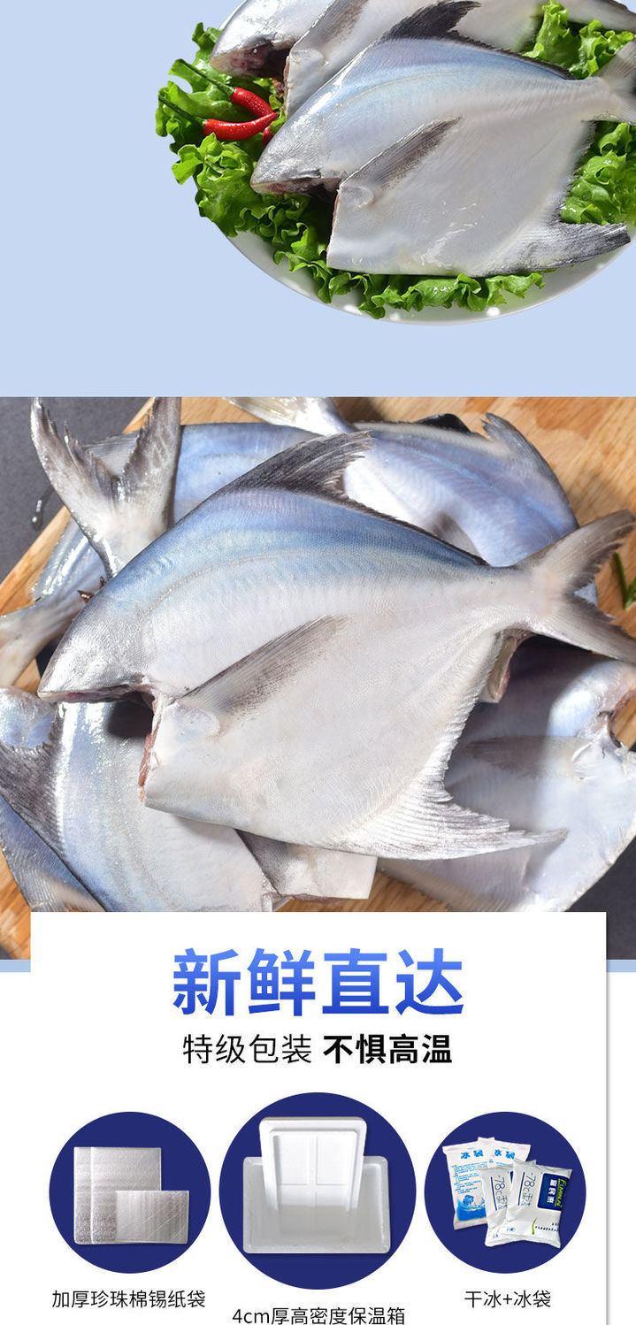 已杀好特大银鲳鱼去头去内脏海昌鱼平鱼冷冻海鲜批发水产美人觉醒每斤