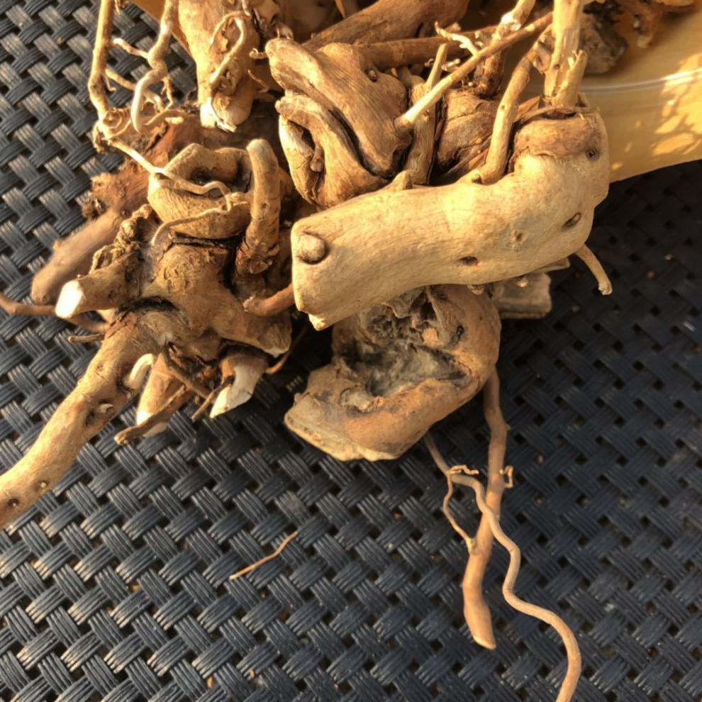 东北野生托莫根树莓根小兴安岭食品250g托摩根脱莫根大兴安岭 纯野生