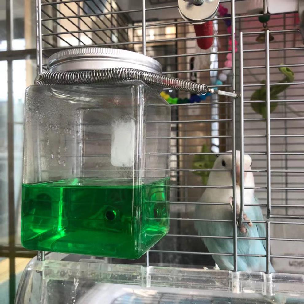 新款鹦鹉饮水器撞针撞针水壶饮水器宠物鹦鹉喝水器噬菌体搭配饮水器