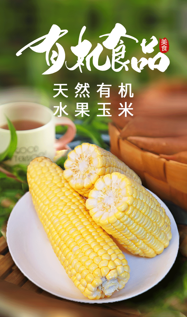 云南水果米脆甜爆浆嫩苞谷新鲜金银生米宓蝶 10根【图片 价格 品牌