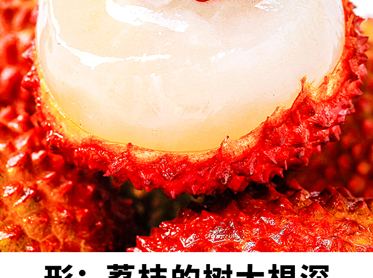 青樱红荔顺丰直达现摘新鲜荔枝妃子笑荔枝应季孕妇水果3斤精选装