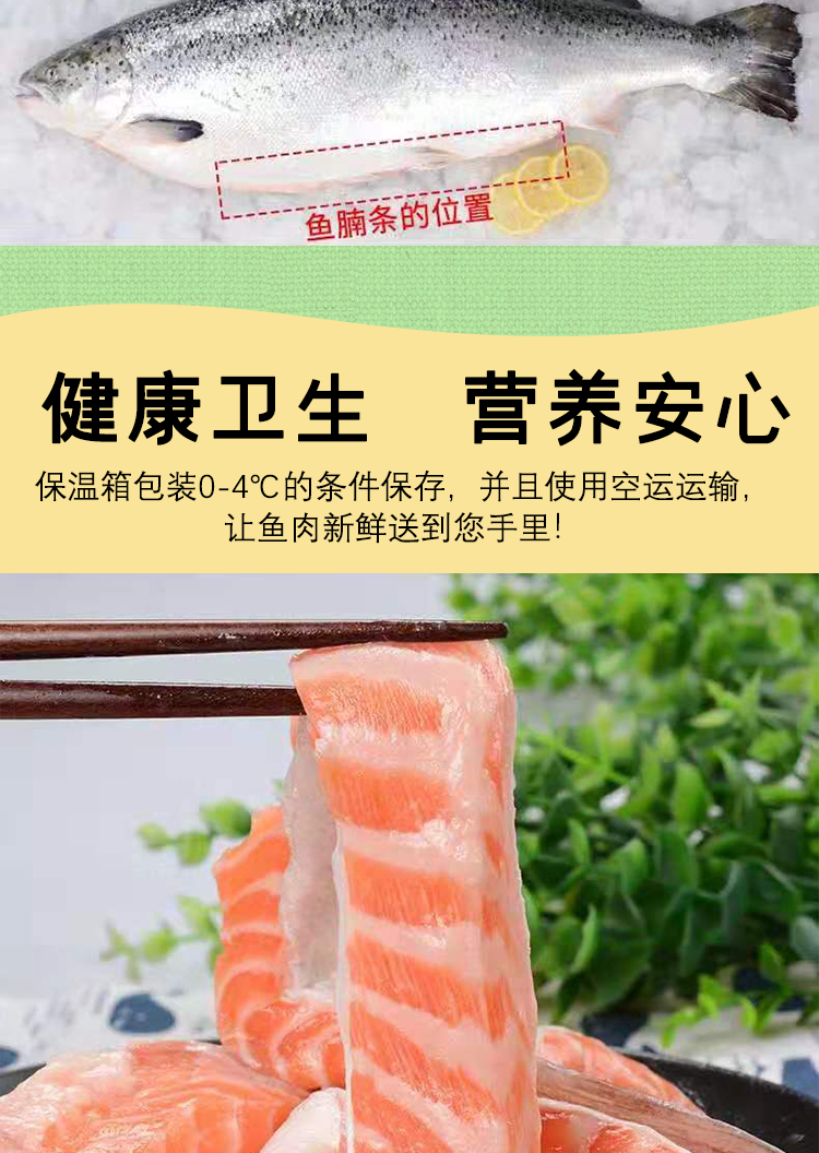 御泸鲜湘生鲜店(顺丰快递)冰鲜三文鱼腩条鱼腩排新鲜非刺身 整条鲜鱼