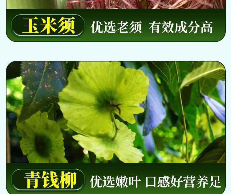813d47b41189727b.jpg
