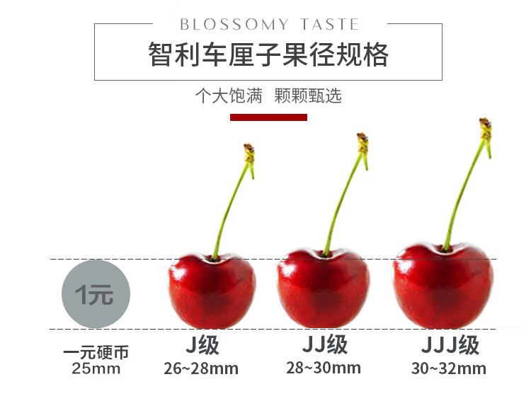 京觅 车厘子 J级 果径约26-28mm 约5kg 图5
