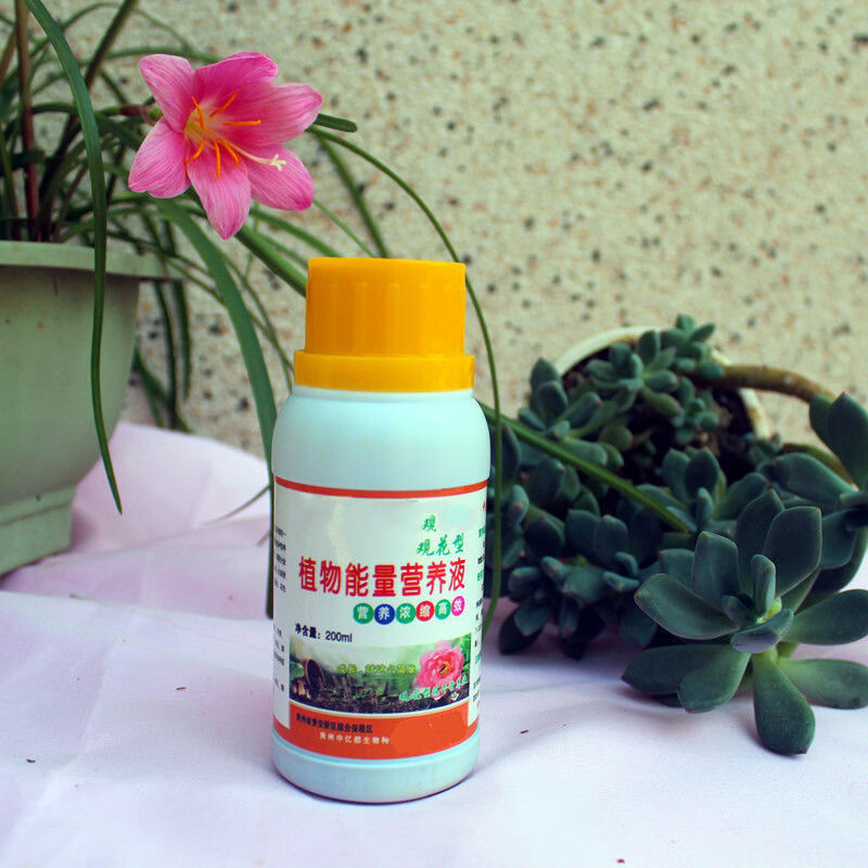 兰花专用营养液肥料兰花生根催芽液体肥室内养花通用型盆栽花卉兰花2