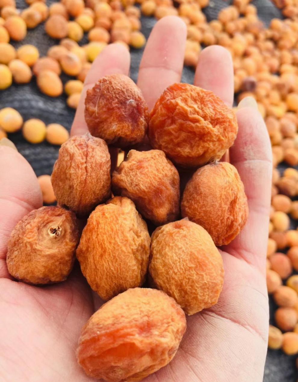 新货新疆吊干杏四团树上吊死干杏干特级无添加农家天然阿克苏 一级吊