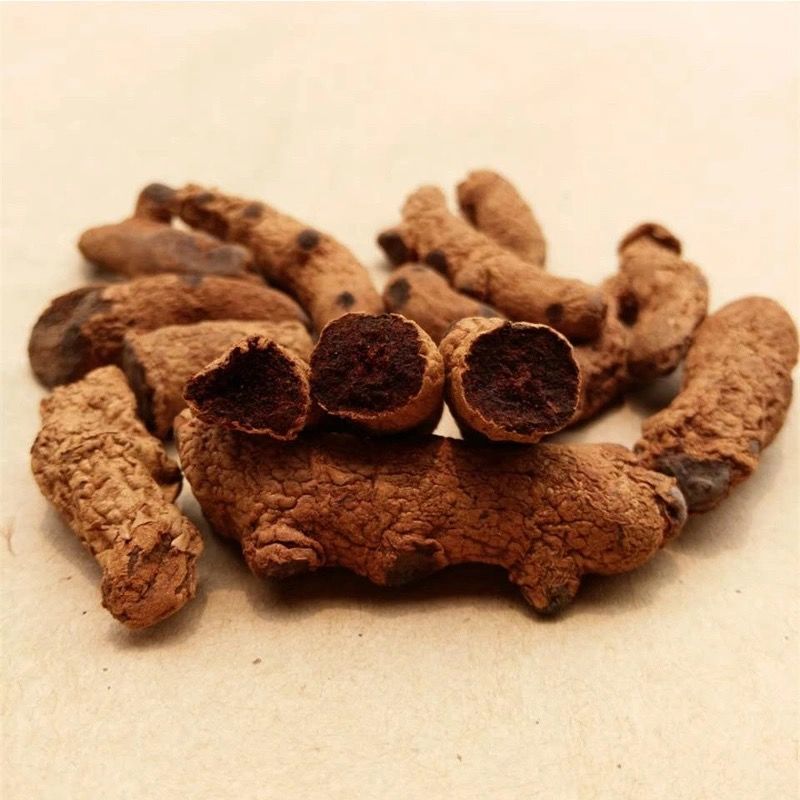 云南 血三七 盘龙七根 血三七头子500克血三七 精选血三七大号500g