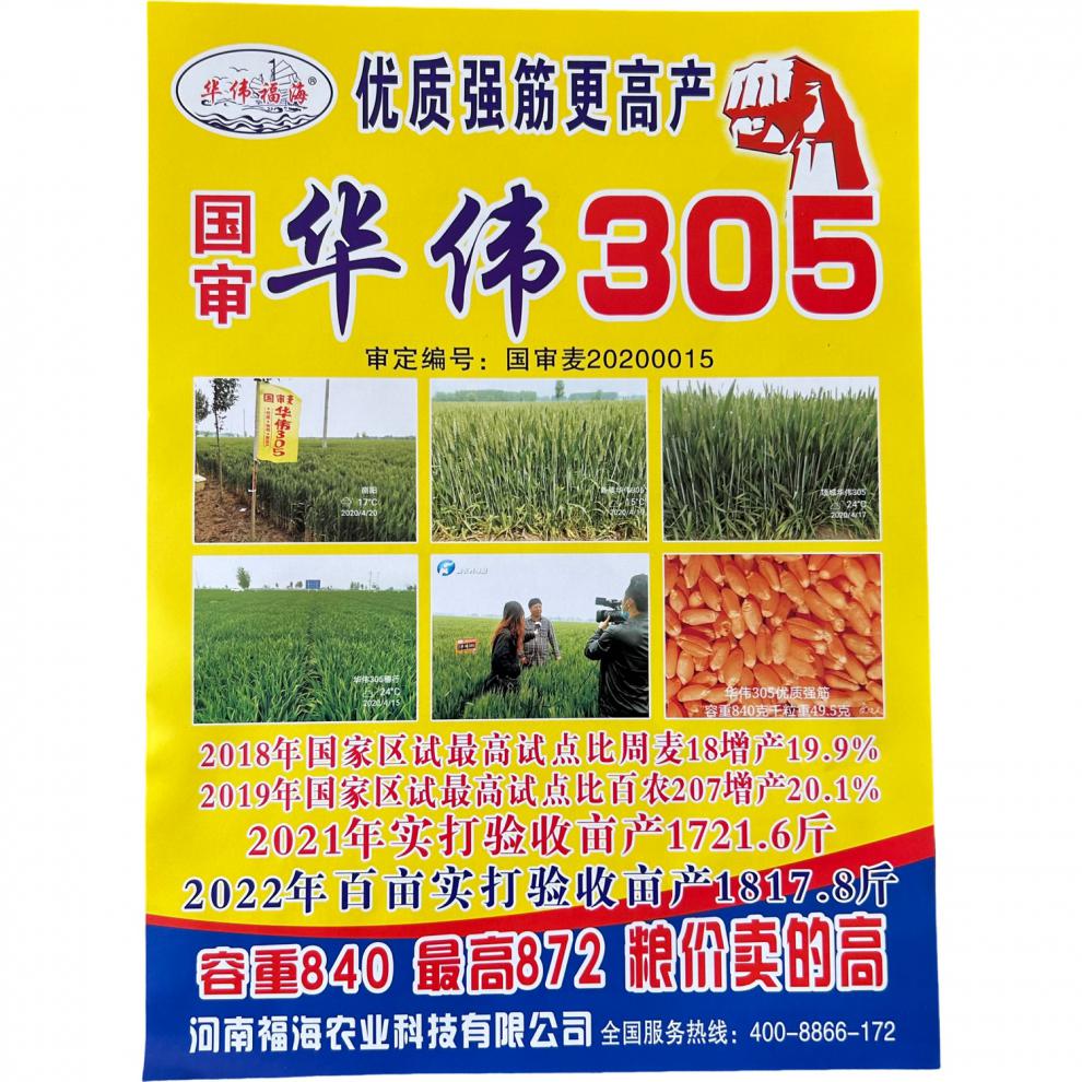 国审华伟305小麦种子丰产稳产抗冻抗病抗倒强筋麦原装25斤【多少钱
