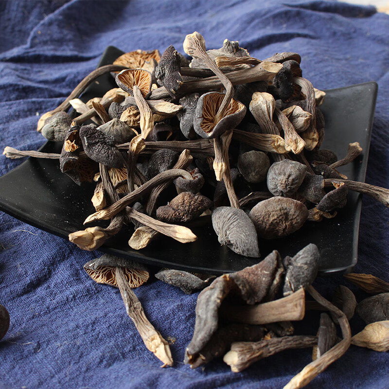 北京同仁堂黑皮鸡枞菌鸡纵菌新鲜野生鸡棕菌蘑菇云南特产野生菌250g