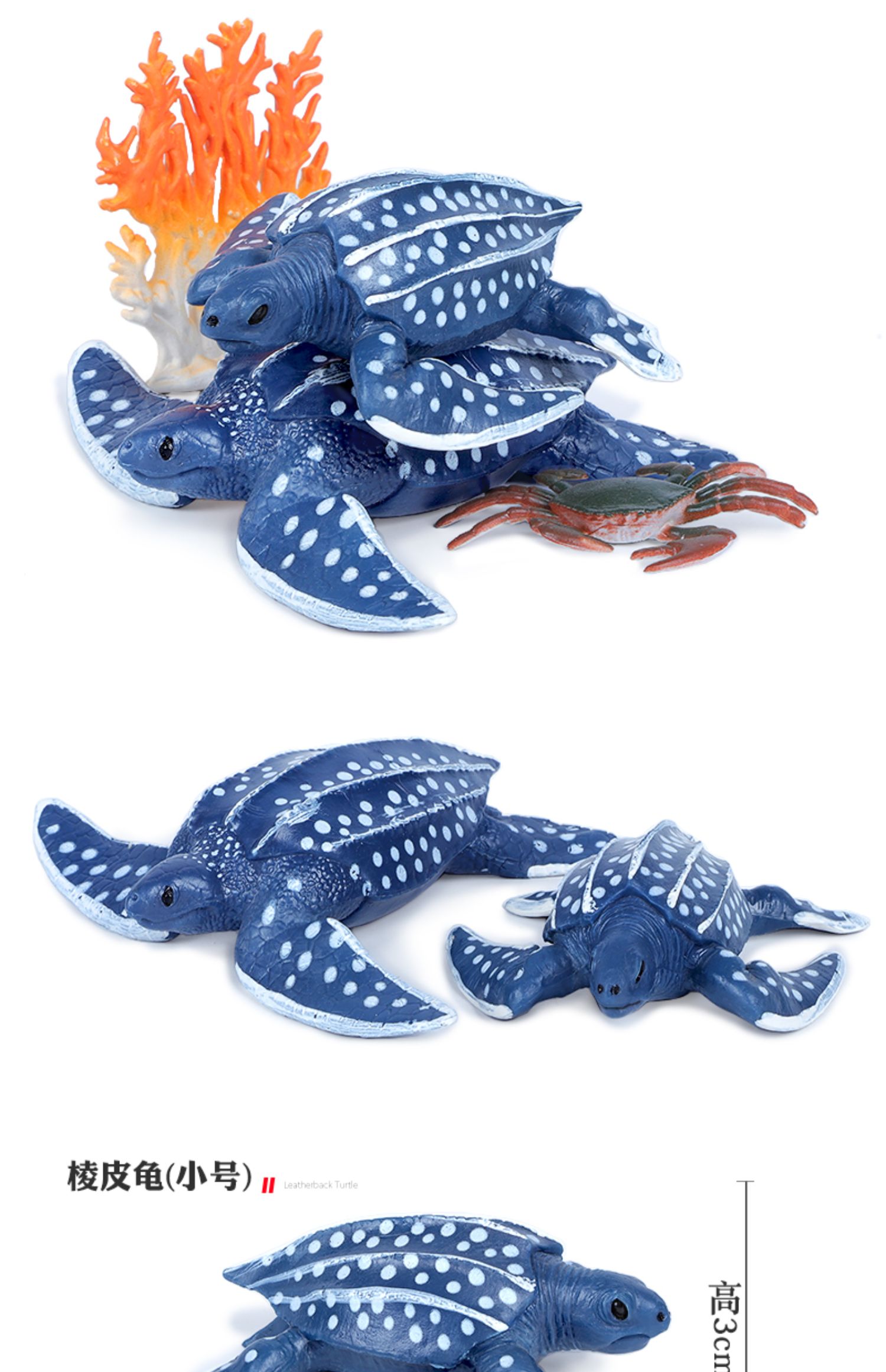 仿真海洋动物乌龟模型巴西龟玩具象龟棱皮龟海龟儿童科教玩具礼物