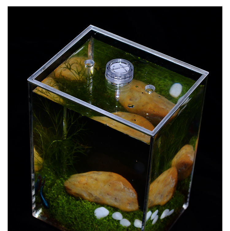 亚克力迷你桌面斗鱼鱼缸客厅小型办公桌创意懒人生态小鱼缸造景101012