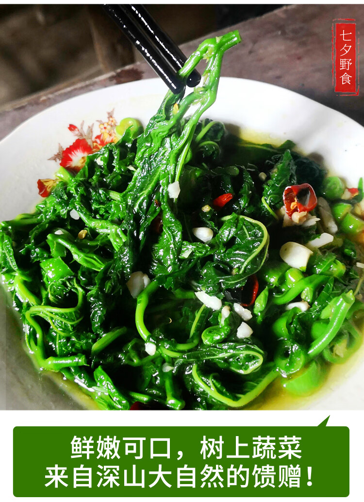 新鲜桑芽菜食用桑叶芽上汤嫩桑叶菜农家蔬菜野菜蛋白桑500g 2000g