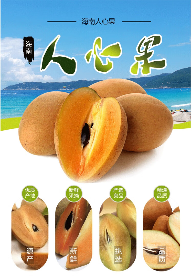 顺丰 海南人心果 人参果仙人果 礼盒装三亚新鲜水果澄迈火山岩富硒