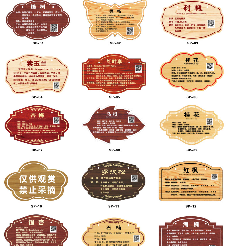 树牌挂牌学校公园不锈钢插地牌子植物绿化信息牌铭牌树木介绍标识牌