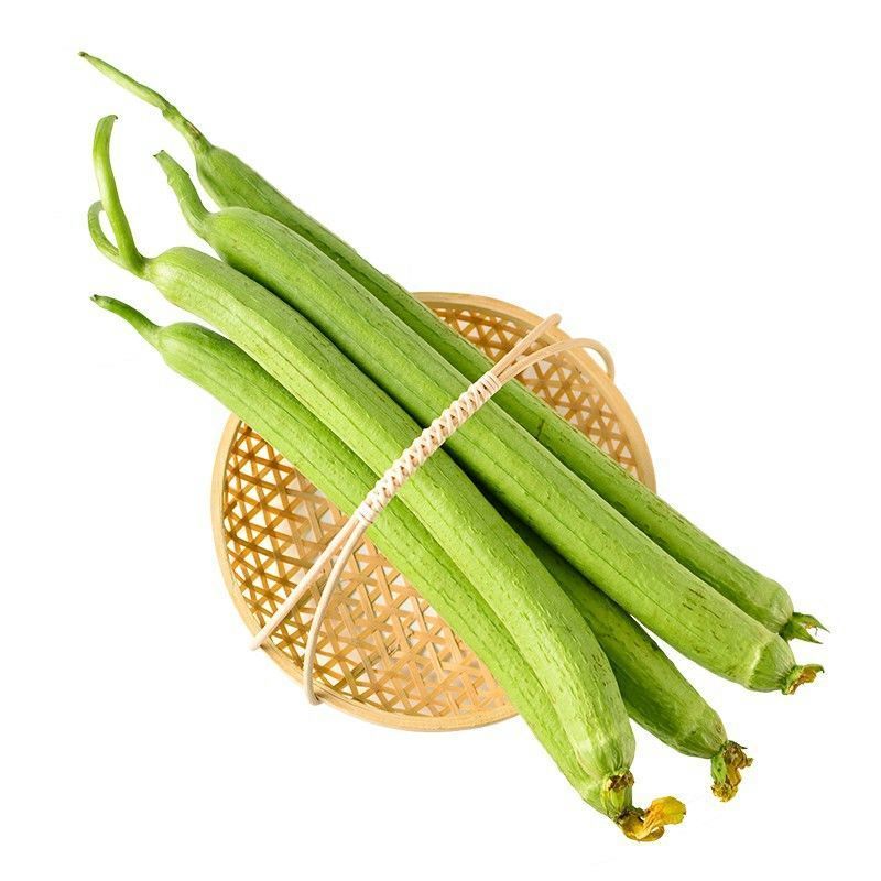 丝瓜新鲜蔬菜绿皮线丝瓜时令蔬菜农家自种长丝瓜寿光直发 5斤新鲜丝瓜