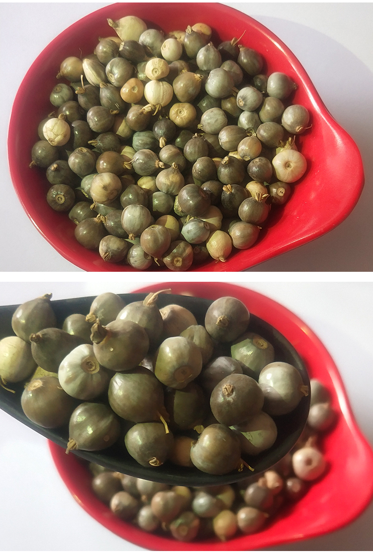 草珠子种子佛珠手串链草菩提籽散装穿门帘吊坠串门连大粒草珠子挑选做